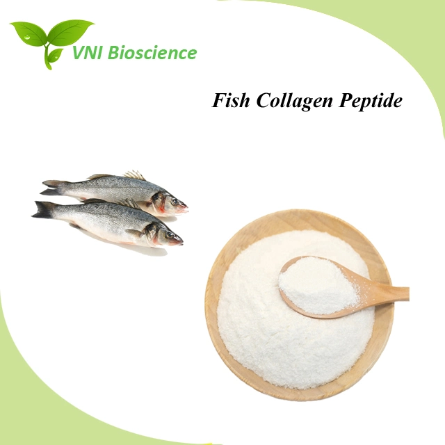 Kosher &amp; Halal Certified Food Grade Fish Collagen