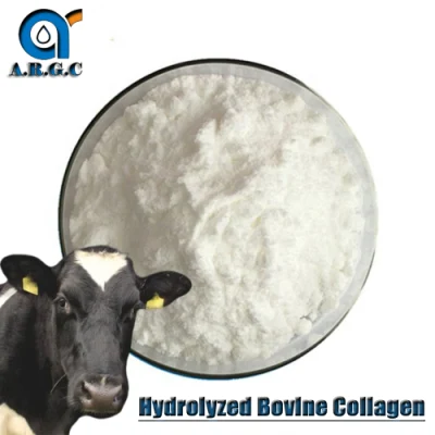 Halal Certificate Collagen in Food Grade Protein Powder Hydrolyzed Bovine Collagen Powder